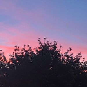 Meet your Posher, Joyce